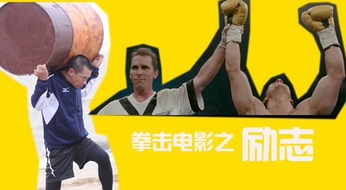 拳击比赛中国vs日本电影