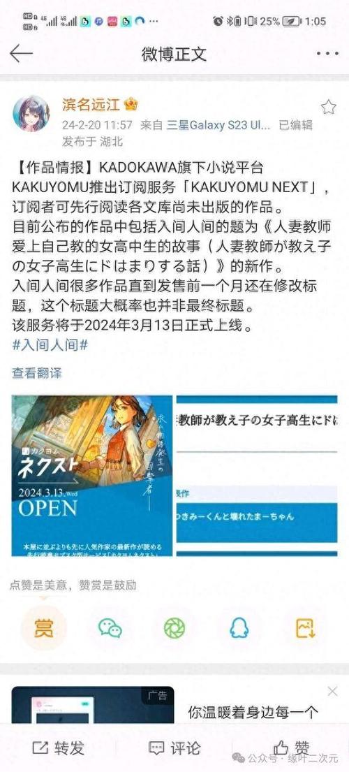 日本人看中国网络小说
